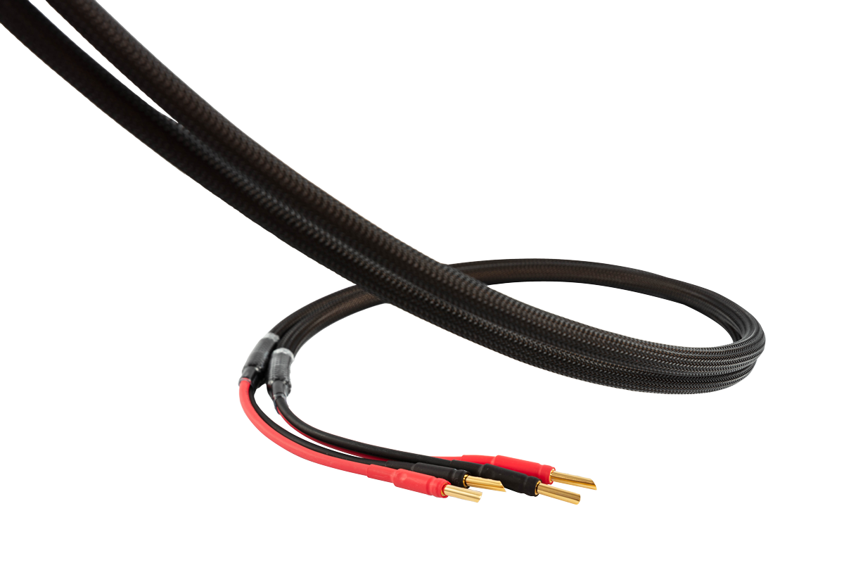 C-3SP 喇叭線 (2.5M)