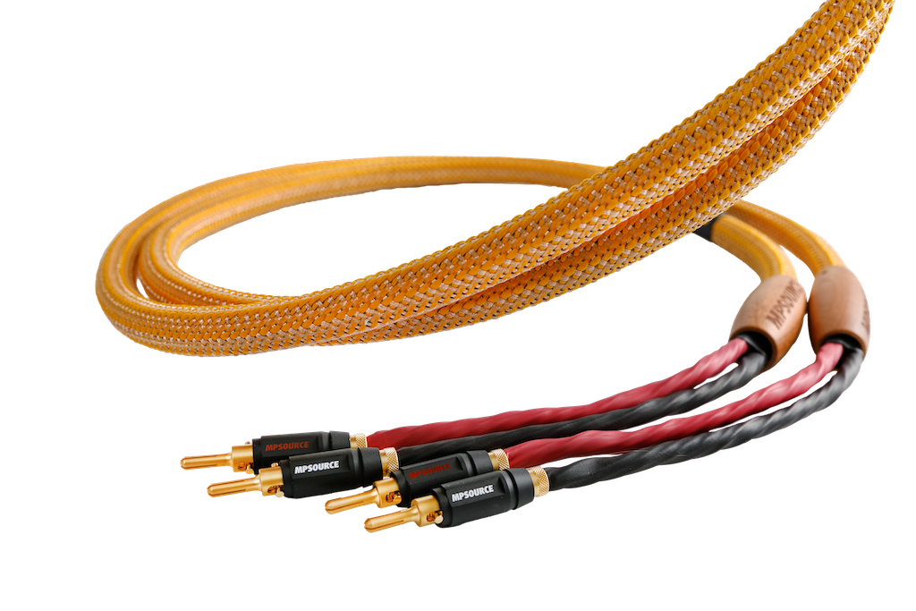 金龍喇叭線Pro版 (2.5M)